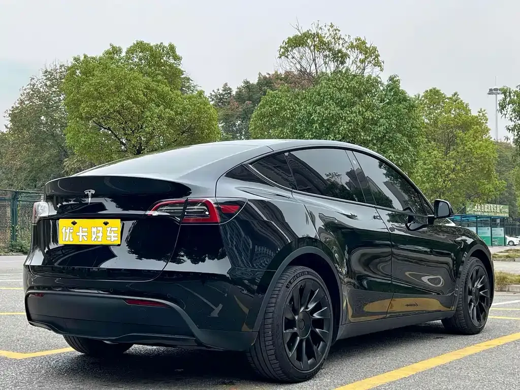 Tesla Model Y — фото 9