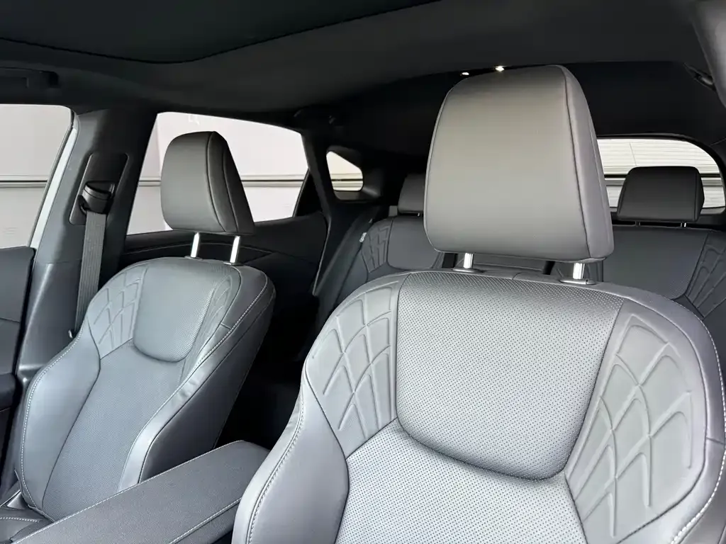 Lexus RX — фото 10