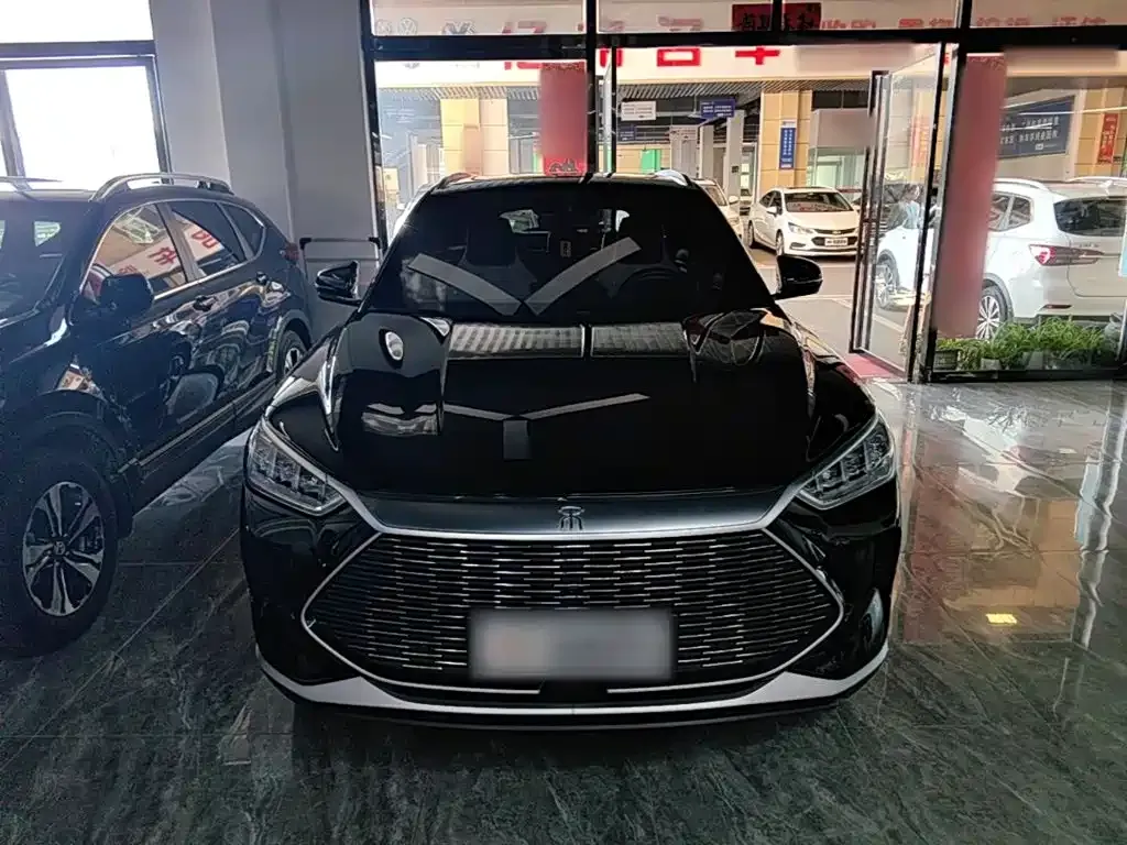 BYD PLUS New Energy — фото 2