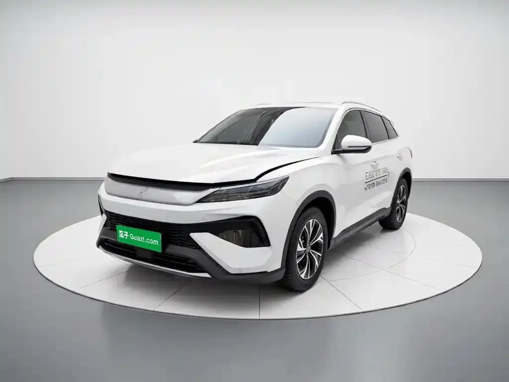 BYD Pro New Energy — фото 3