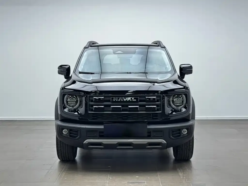 Haval Big Dog — фото 3