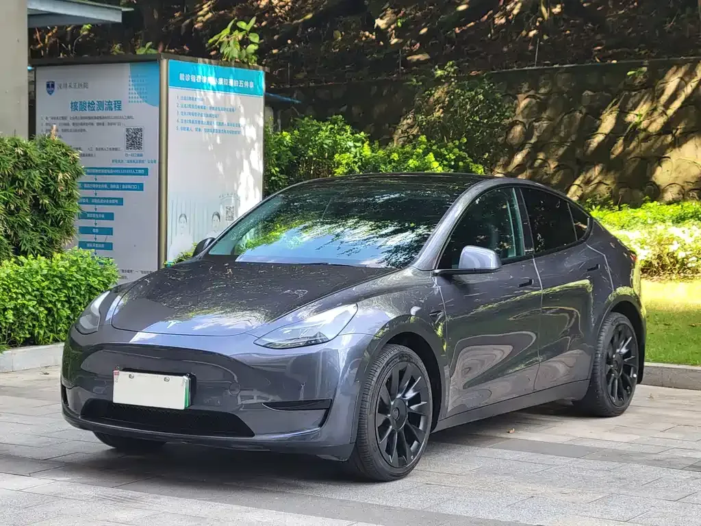 Tesla Model Y — фото 1