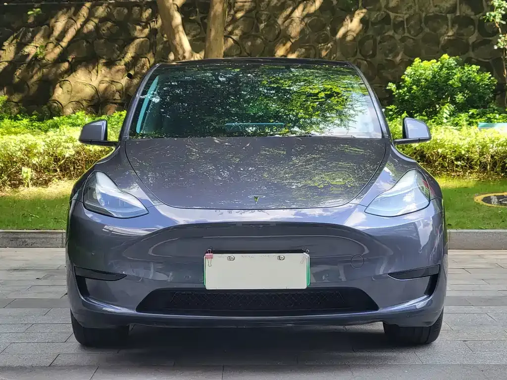 Tesla Model Y — фото 9