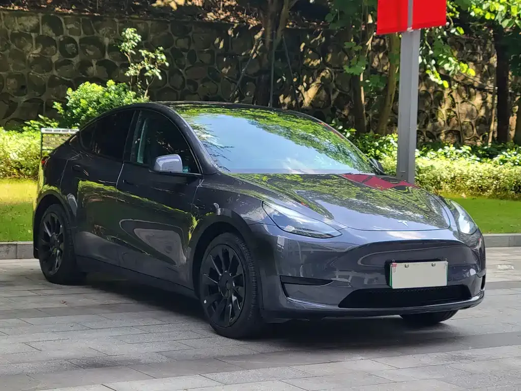 Tesla Model Y — фото 3