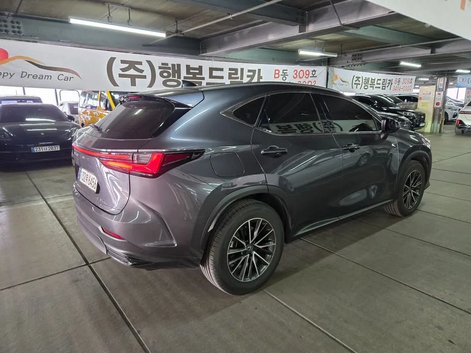 Lexus NX — фото 10