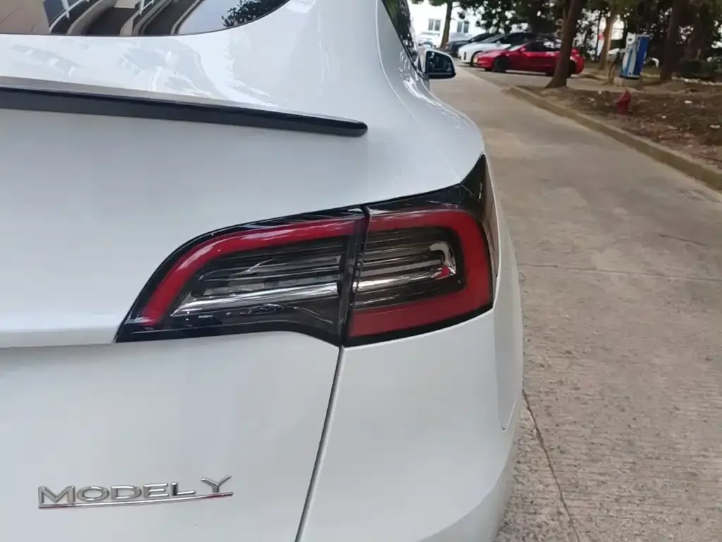 Tesla Model Y — фото 7