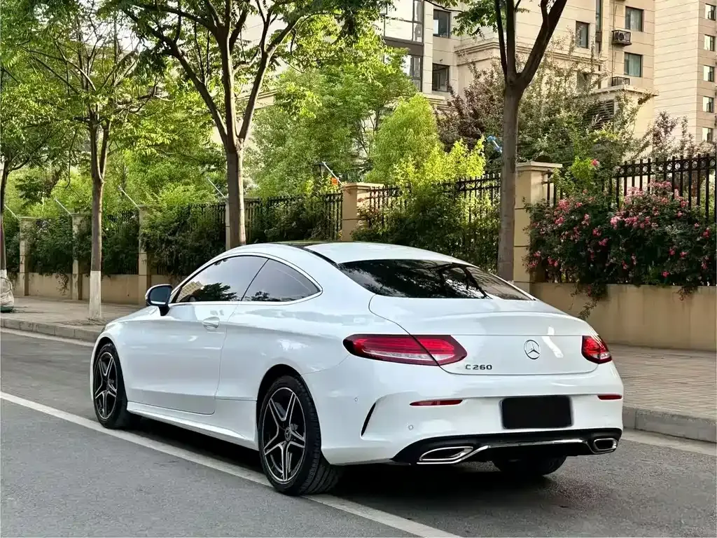 Mercedes-Benz C-Class (Import) — фото 6