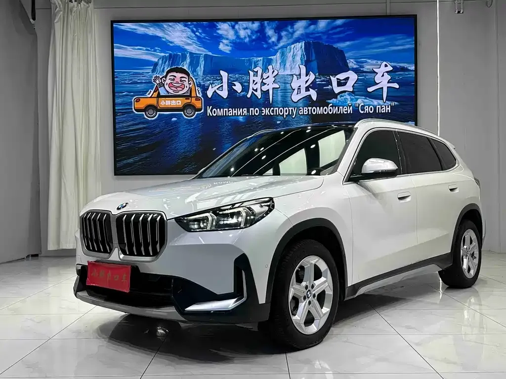 BMW X1 — фото 1