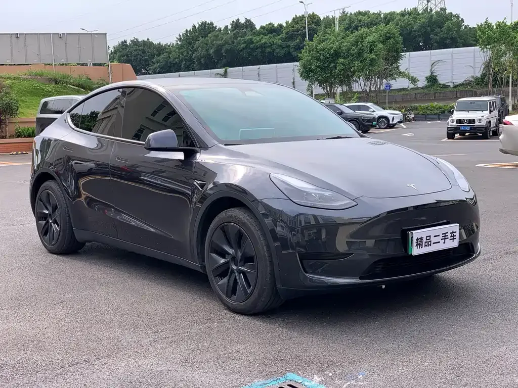 Tesla Model Y — фото 10