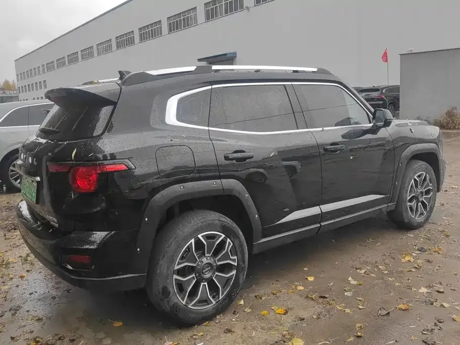 Haval Big Dog PLUS New Energy — фото 8