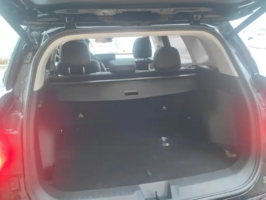 Haval Big Dog PLUS New Energy — фото 2