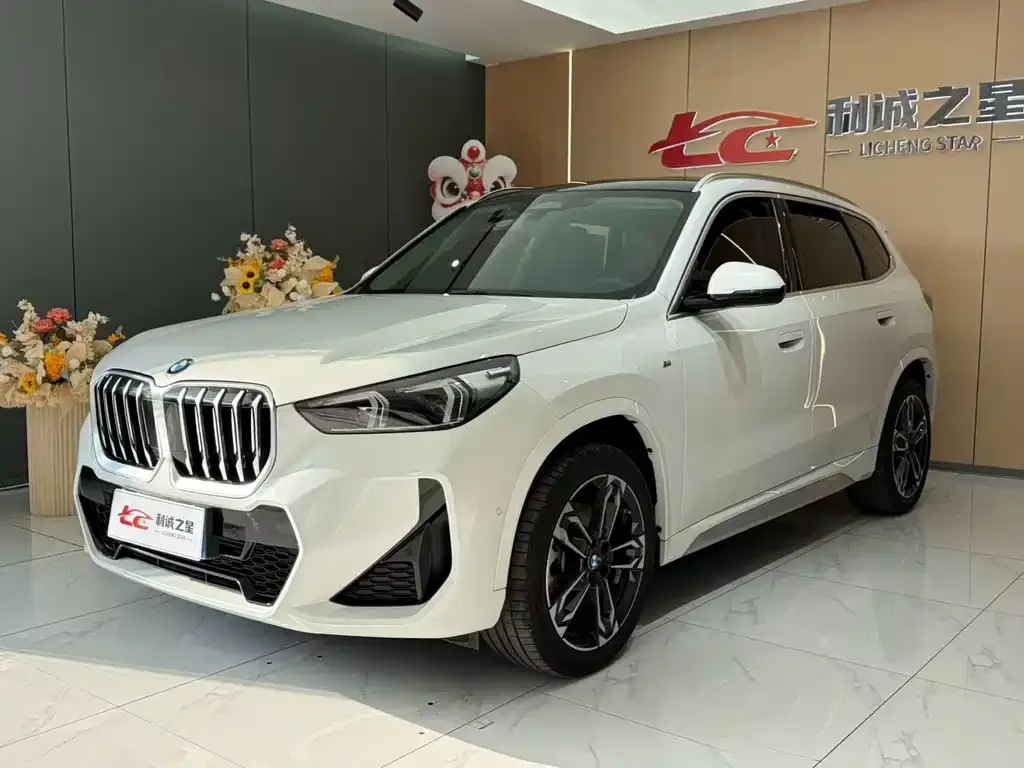BMW X1 — фото 1