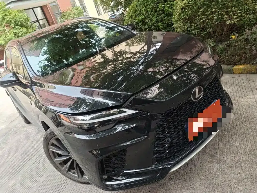 Lexus RX — фото 1