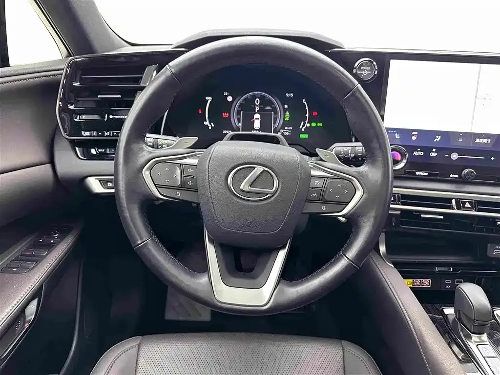 Lexus RX New Energy — фото 6