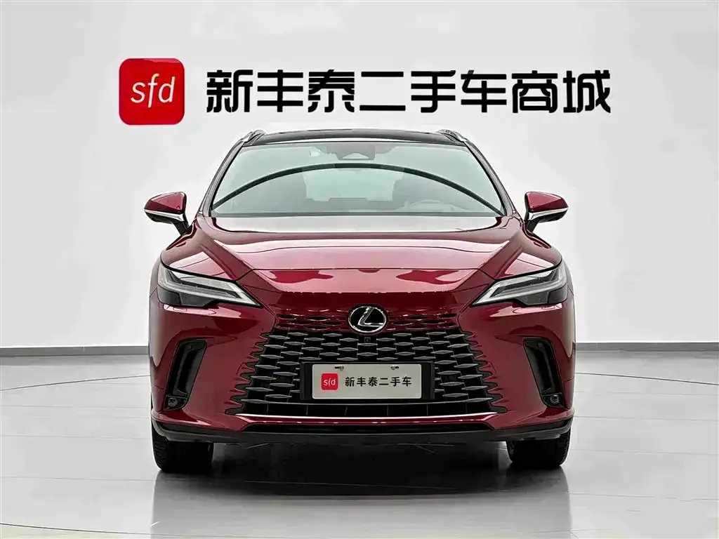 Lexus RX New Energy — фото 7