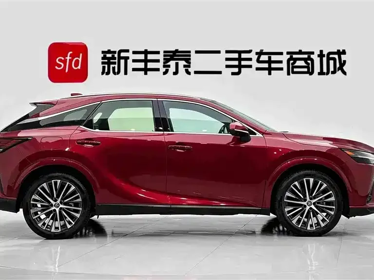 Lexus RX New Energy — фото 5