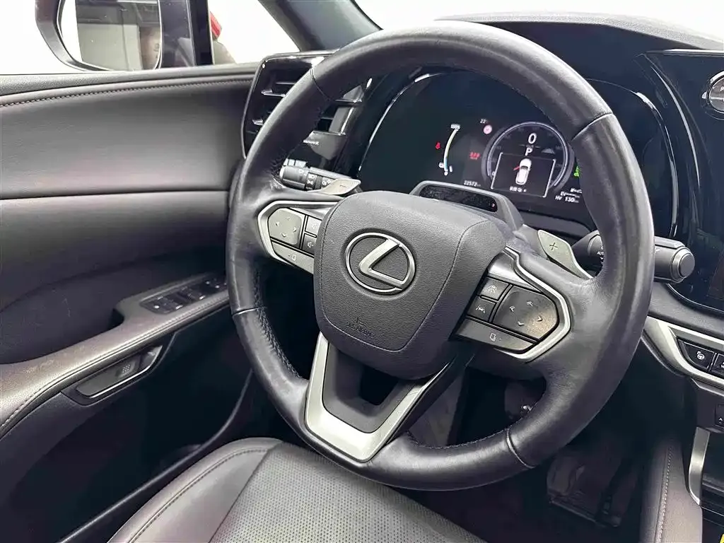 Lexus RX New Energy — фото 4