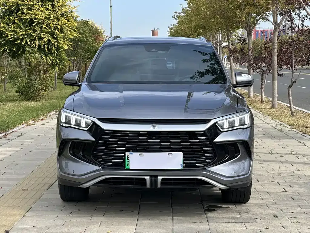 BYD Pro New Energy — фото 6