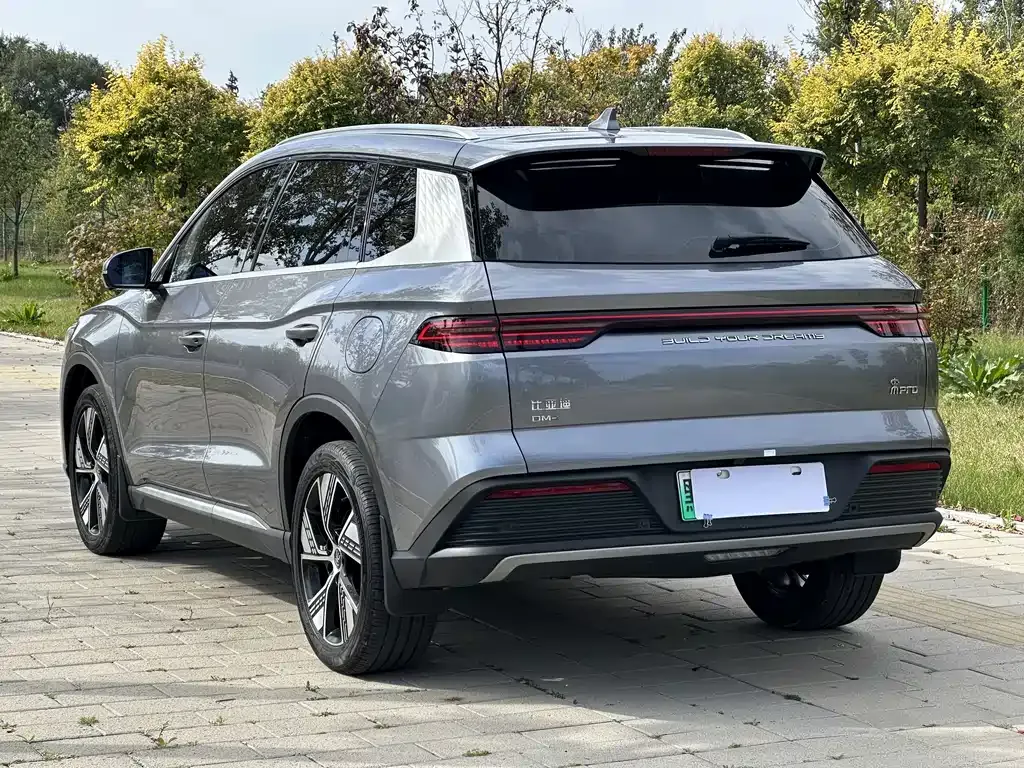 BYD Pro New Energy — фото 9