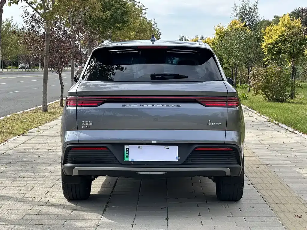 BYD Pro New Energy — фото 7