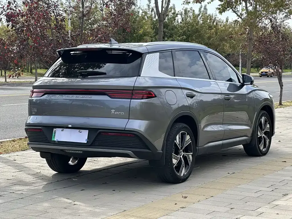 BYD Pro New Energy — фото 10
