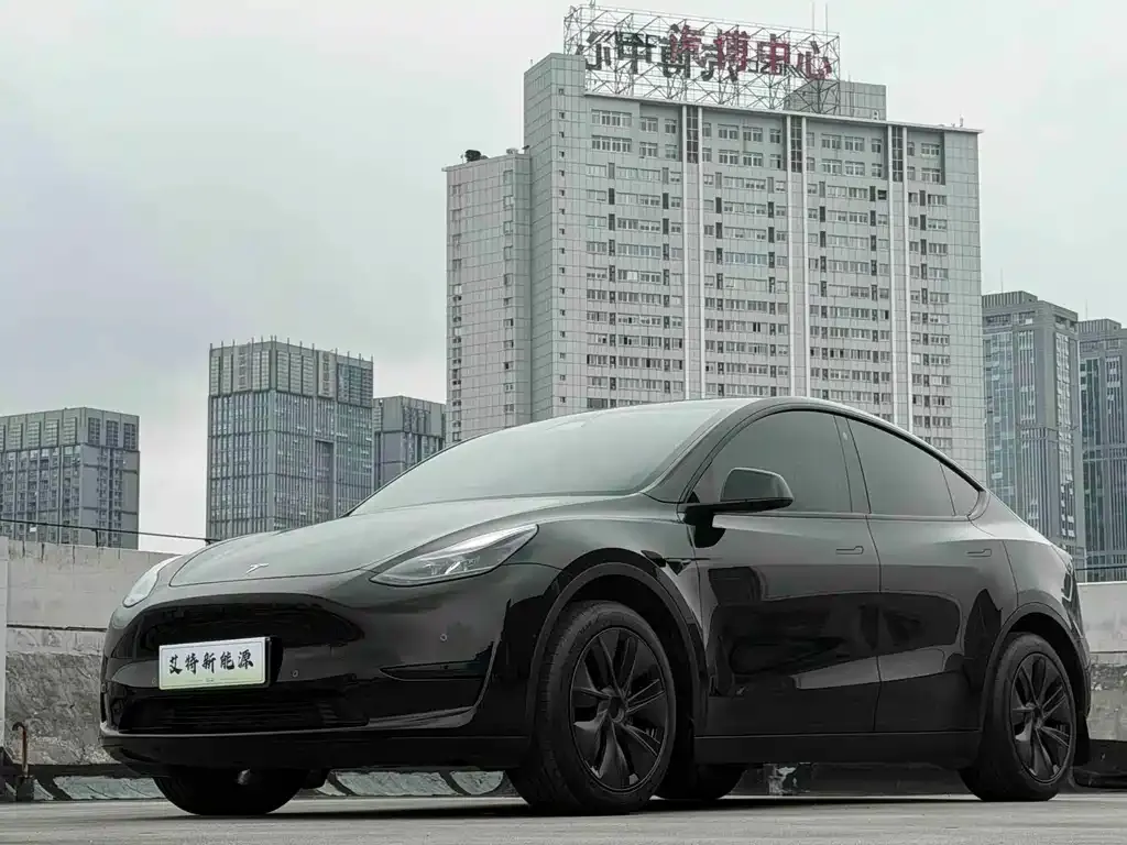 Tesla Model Y — фото 1