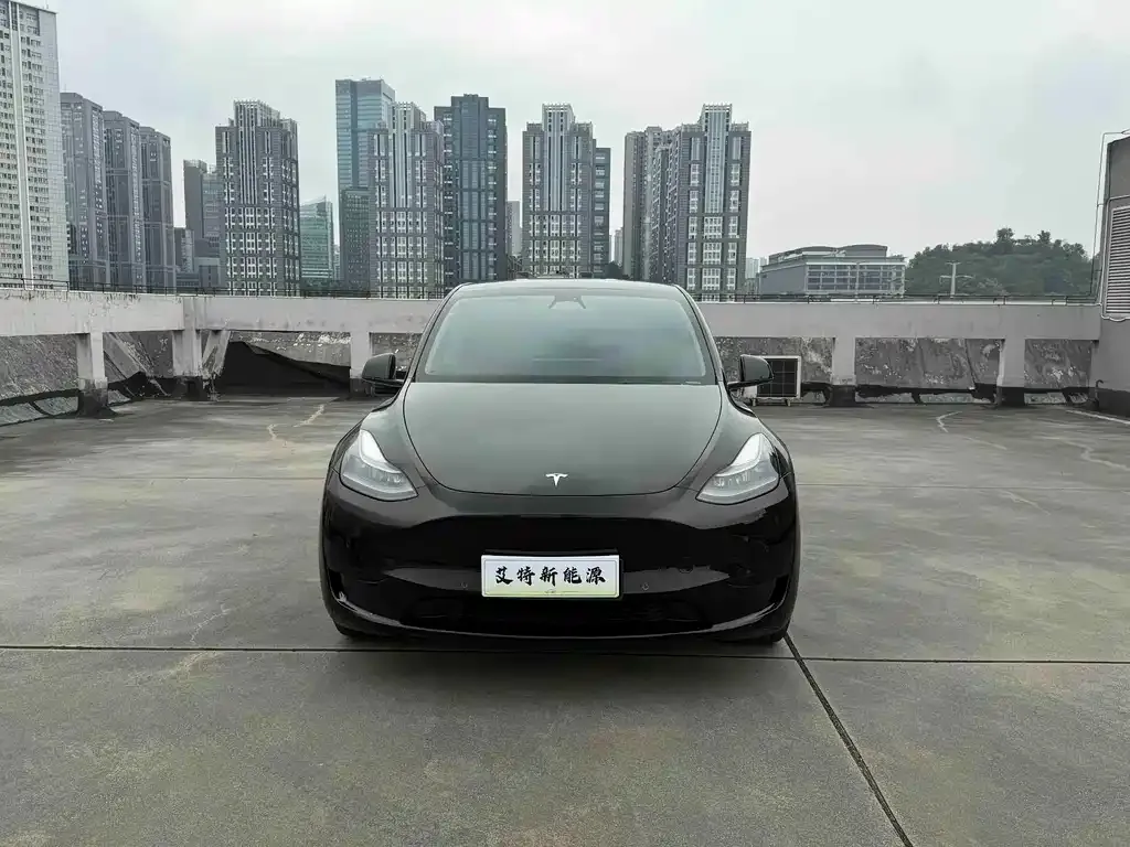 Tesla Model Y — фото 6
