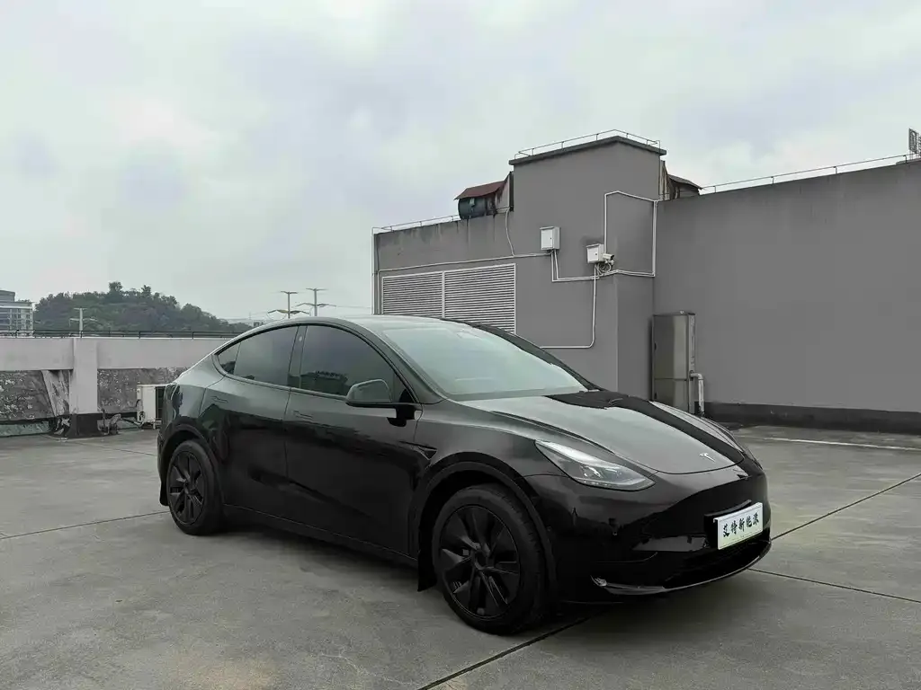 Tesla Model Y — фото 4