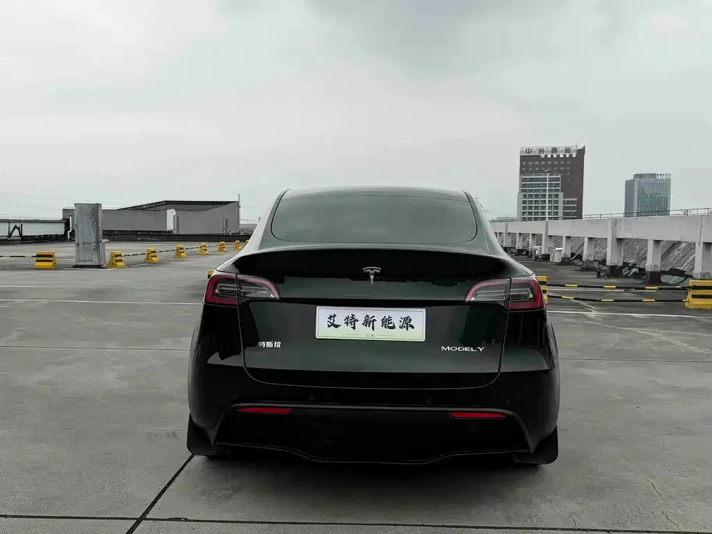 Tesla Model Y — фото 9