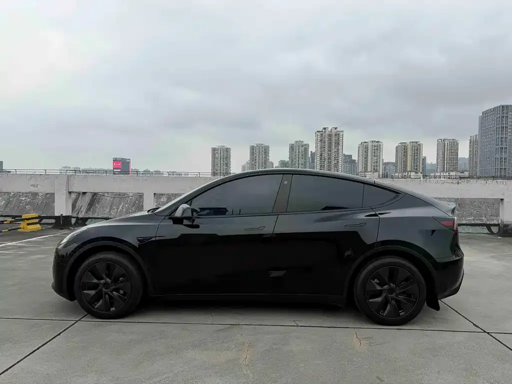 Tesla Model Y — фото 8