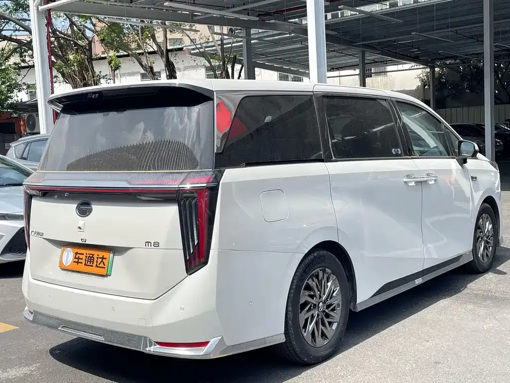 GAC Motor Trumpchi Xiangwang M8 — фото 8