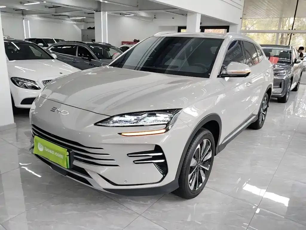 BYD PLUS New Energy — фото 1