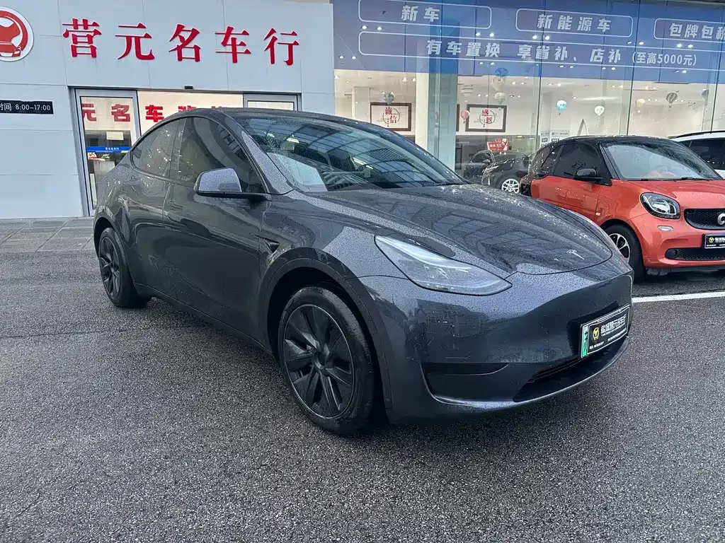 Tesla Model Y — фото 9