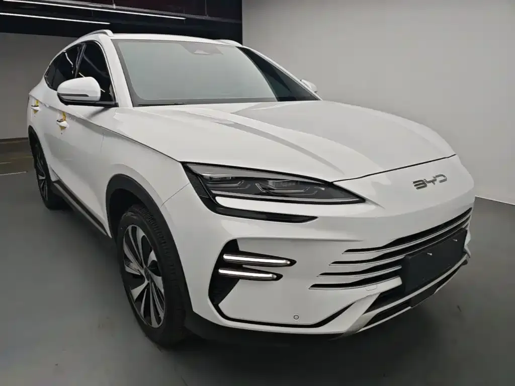 BYD PLUS New Energy — фото 3