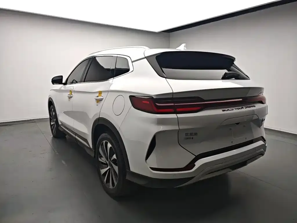 BYD PLUS New Energy — фото 2