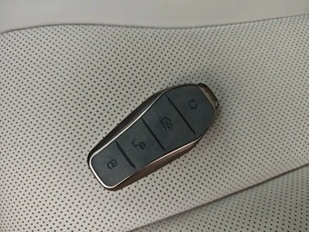 BYD PLUS New Energy — фото 6