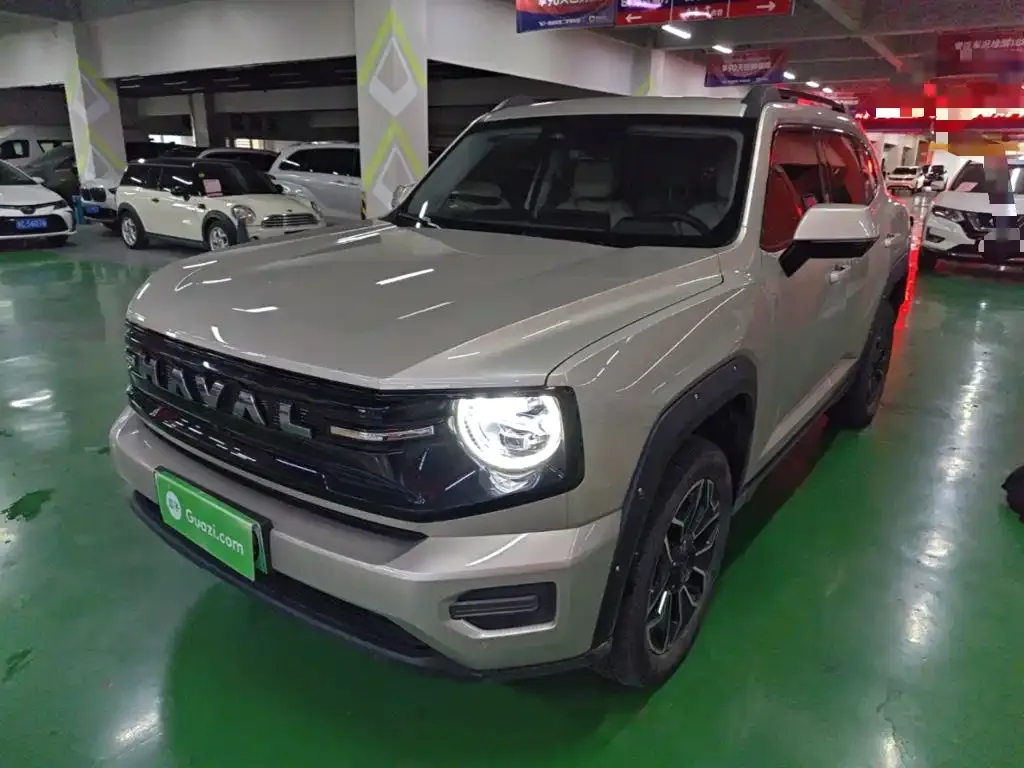 Haval Big Dog PLUS New Energy — фото 3