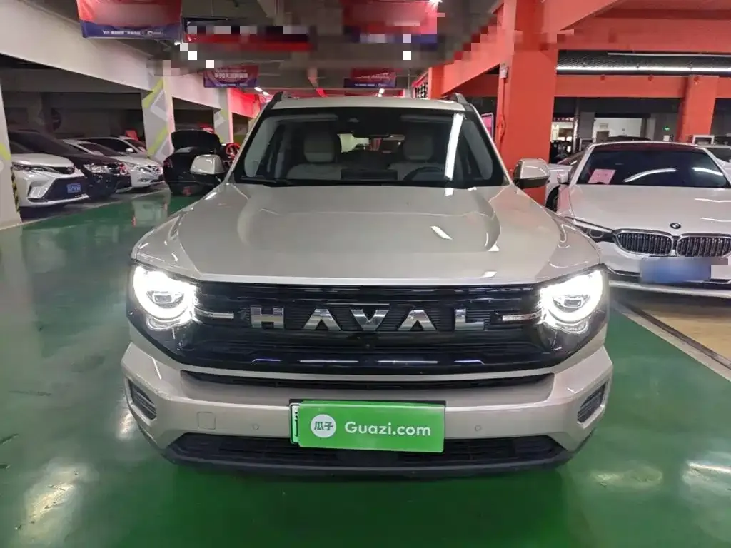 Haval Big Dog PLUS New Energy — фото 4