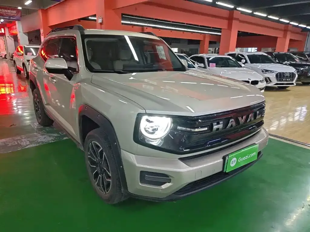 Haval Big Dog PLUS New Energy — фото 8