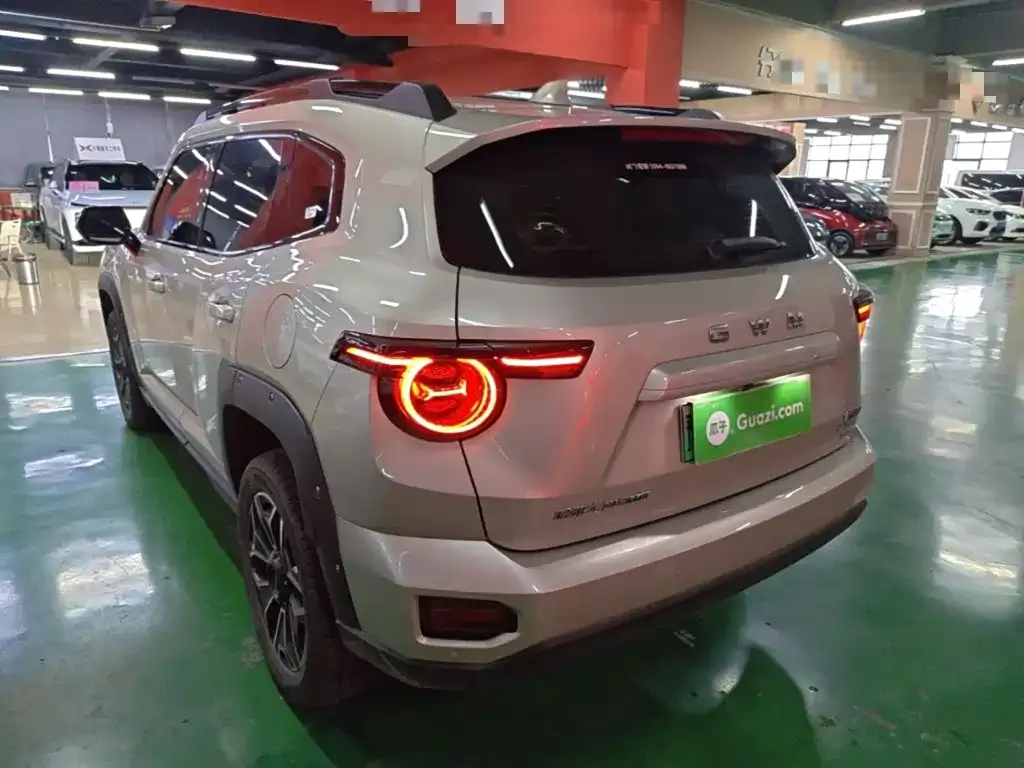 Haval Big Dog PLUS New Energy — фото 7