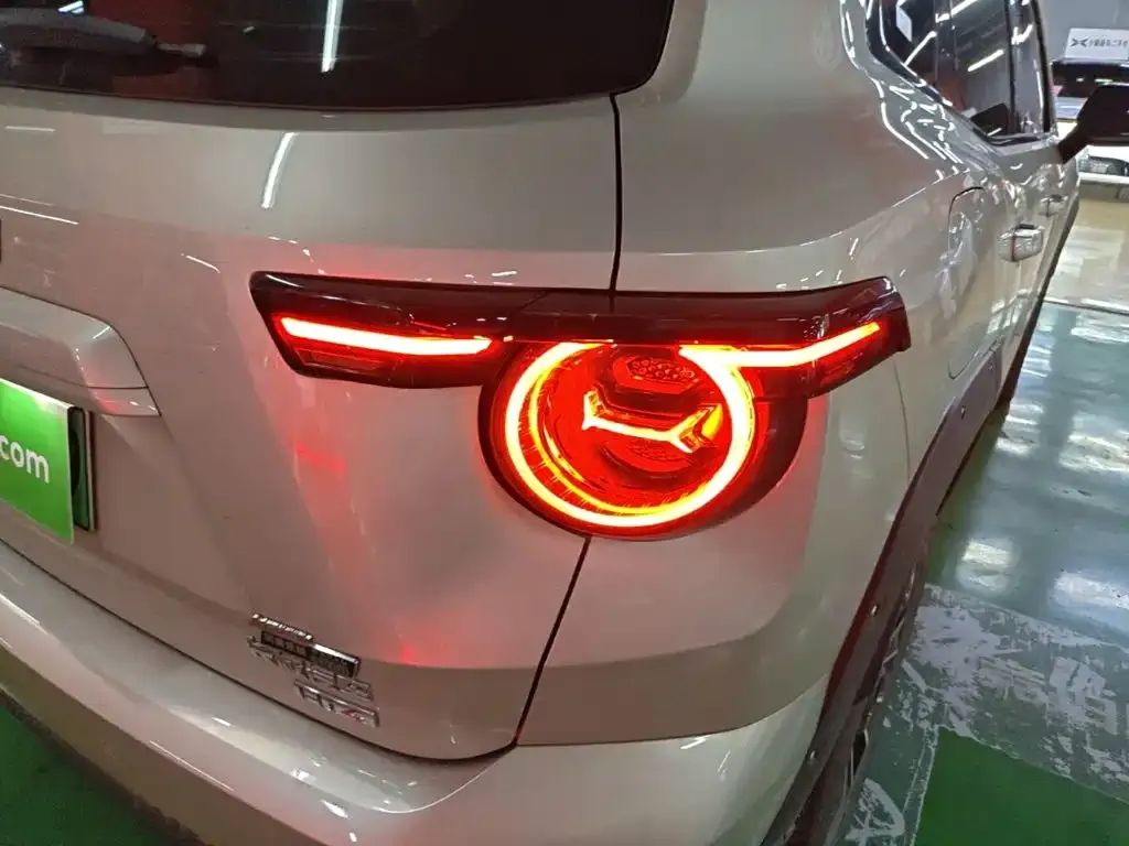 Haval Big Dog PLUS New Energy — фото 10