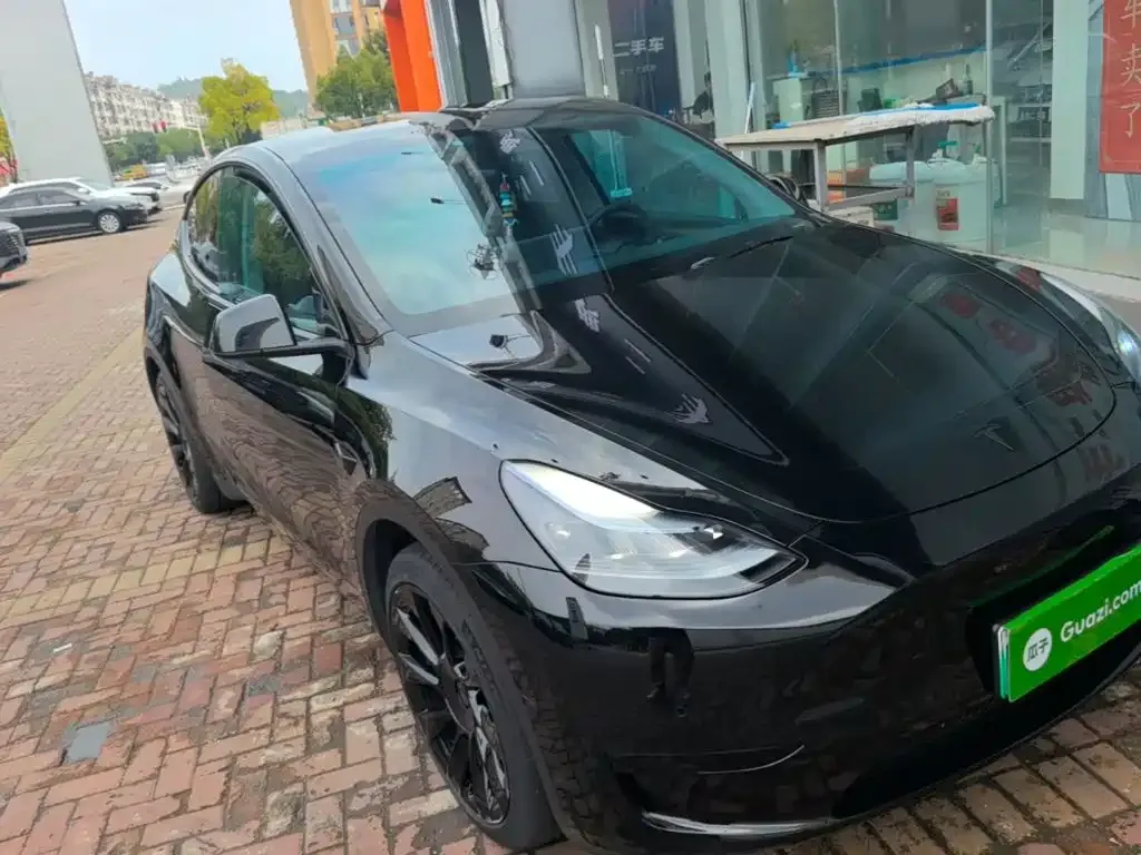 Tesla Model Y — фото 6