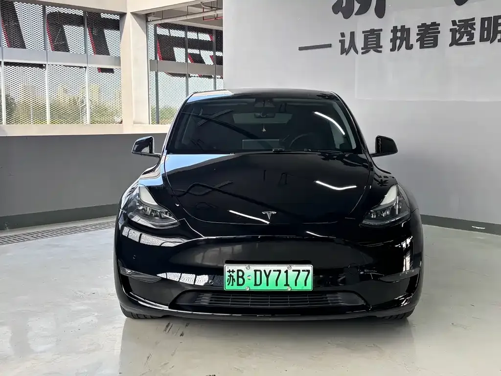 Tesla Model Y — фото 1