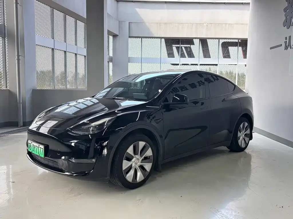 Tesla Model Y — фото 10