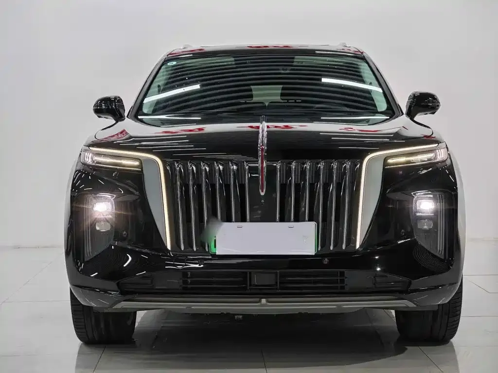 Hongqi E-HS9 — фото 10