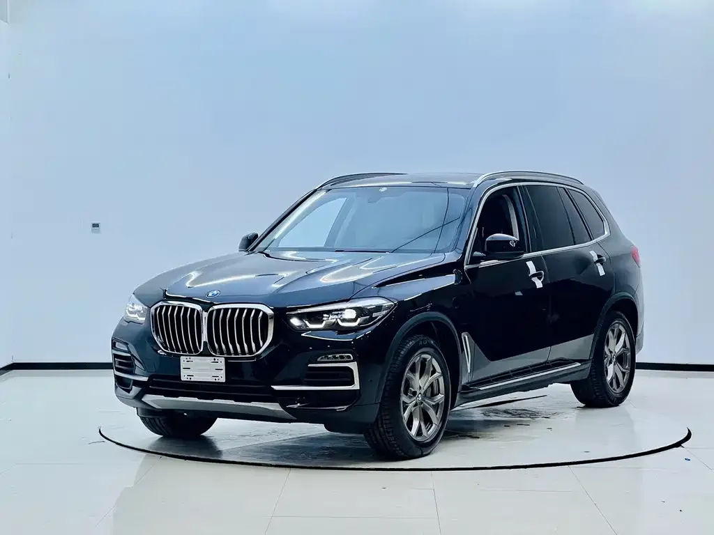 BMW X5 New Energy (Import) — фото 1