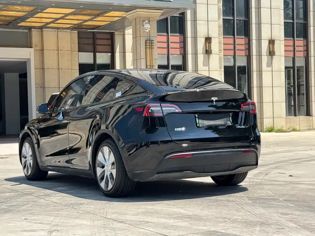 Tesla Model Y — фото 8