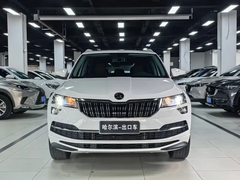 Skoda Karoq — фото 4