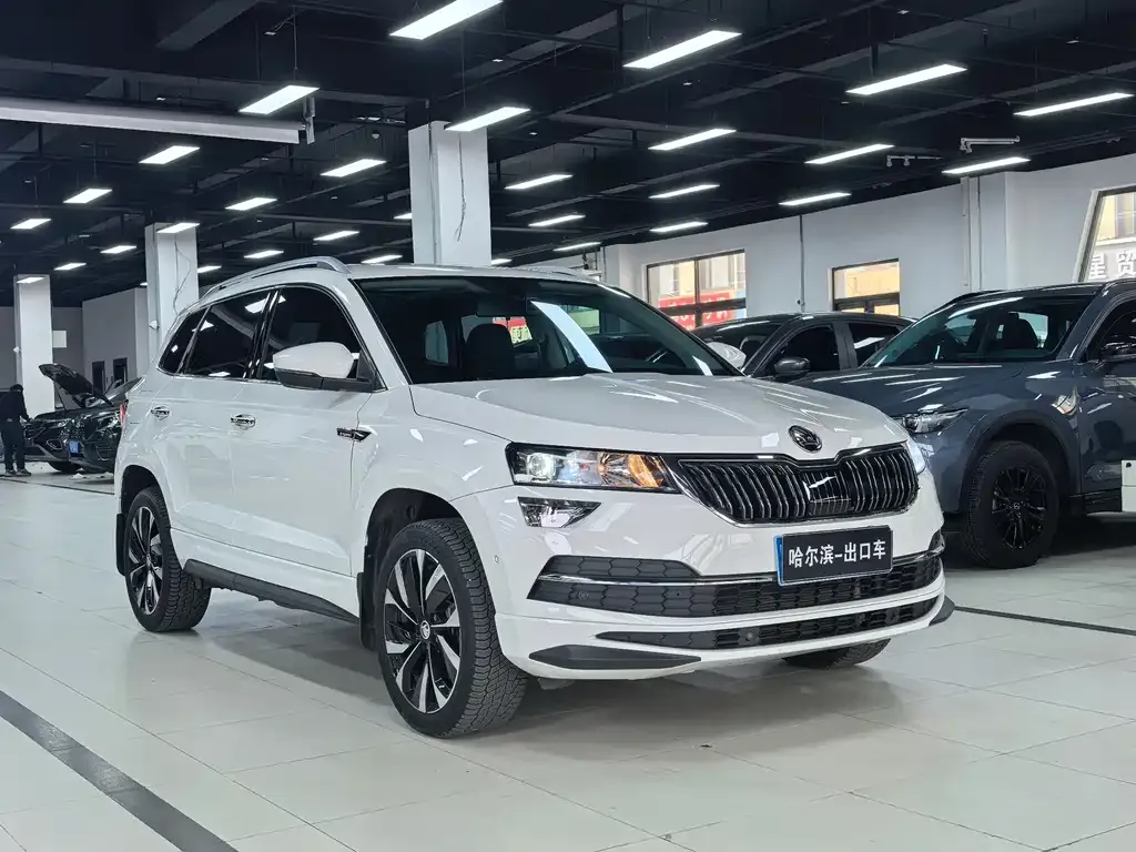 Skoda Karoq — фото 3