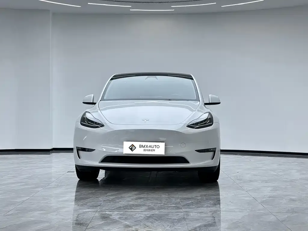 Tesla Model Y — фото 6